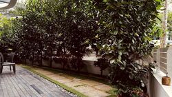 D'Leedon (D10), Condominium #445086181